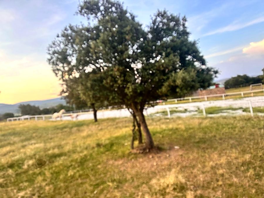 Pista y paddocks de Villa Muga